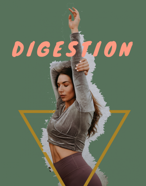 TA DIGESTION : LA CLÉ D'ACCÈS AU CORPS DE TES RÊVES